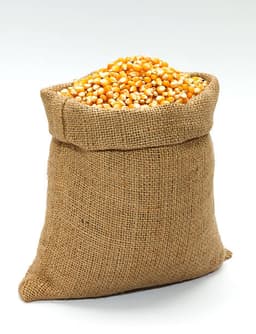 Premium Maize 1